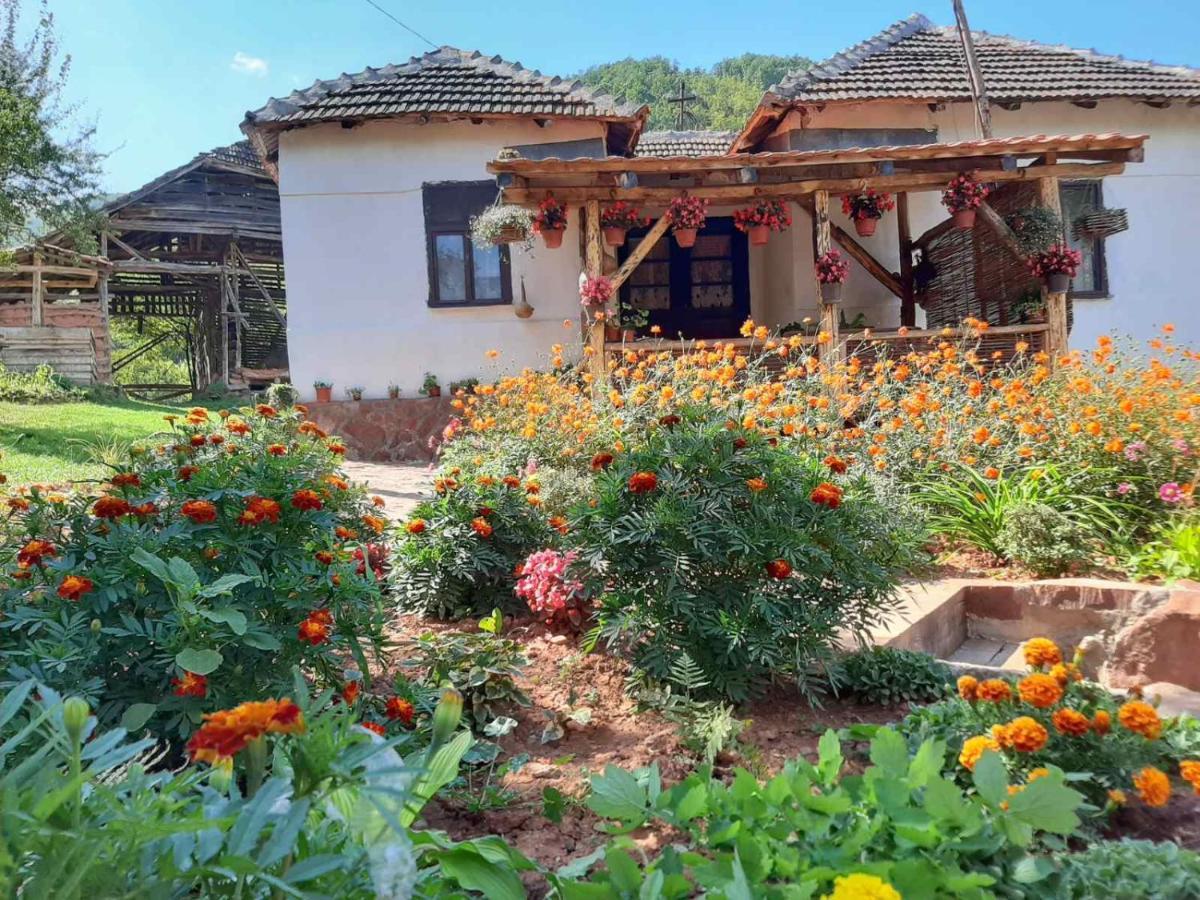 Villa Seosko Domacinstvo „Gabar” Custica Exterior foto